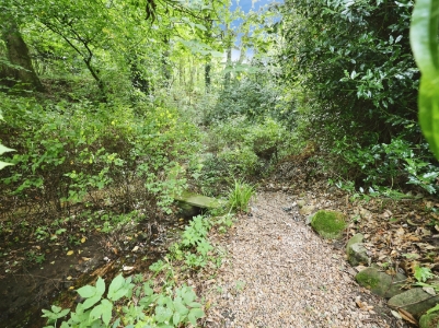 Picture 36
